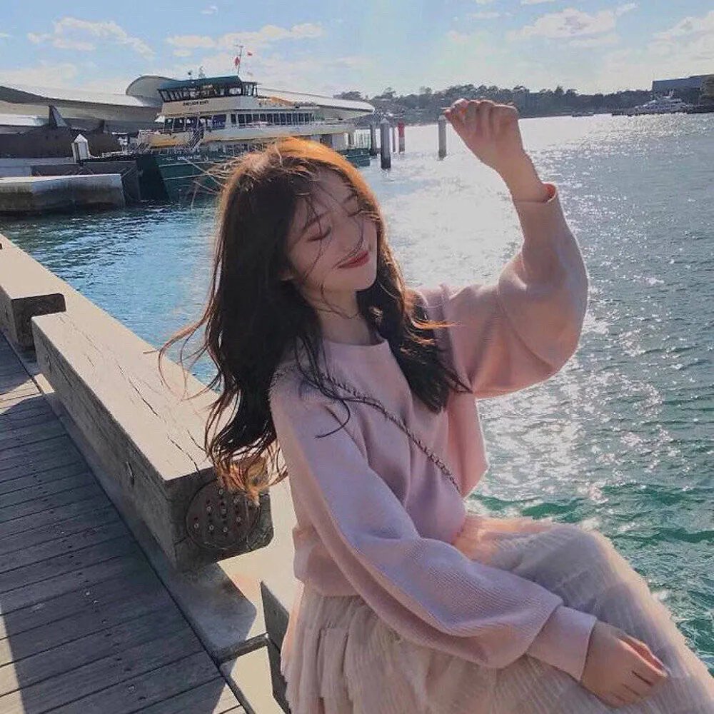 鲨与鲸